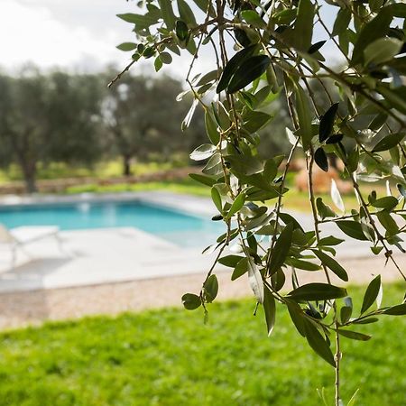 Dimora La Scaledda Bed & Breakfast Serranova Luaran gambar