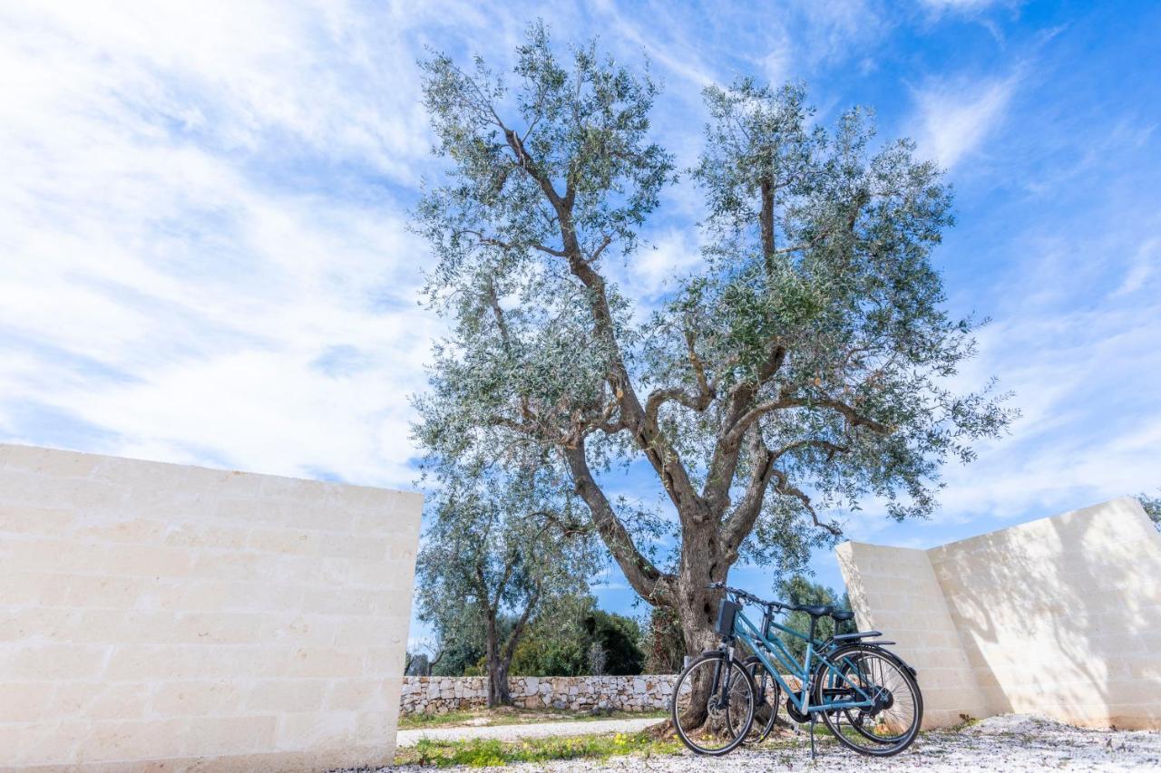 Dimora La Scaledda Bed & Breakfast Serranova Luaran gambar